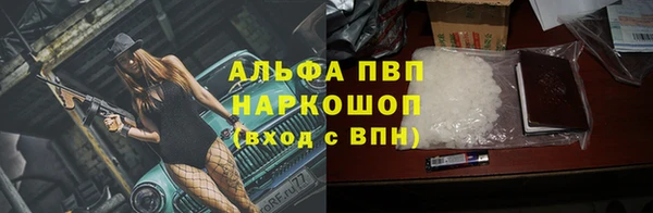 тгк Касимов