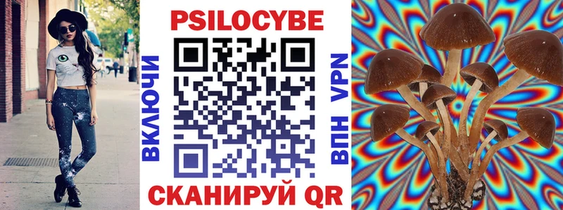 Псилоцибиновые грибы Magic Shrooms  Купить закладки  Кологрив 