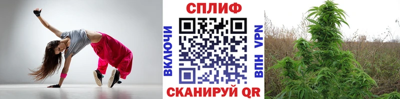 Купить закладки  Кологрив  Шишки марихуана Ganja 